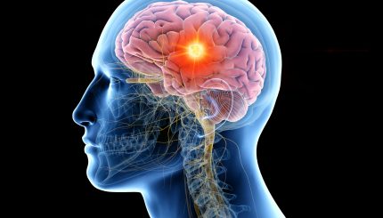human-brain-and-journey-of-neuron