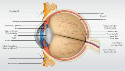careful-for-eye-problem-and-management