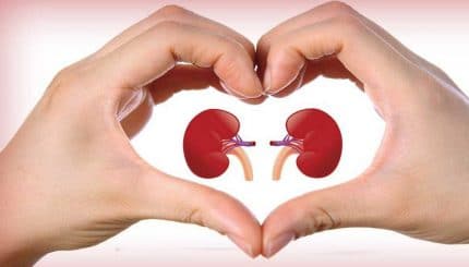 healthy-diet-for-kidney-and-management