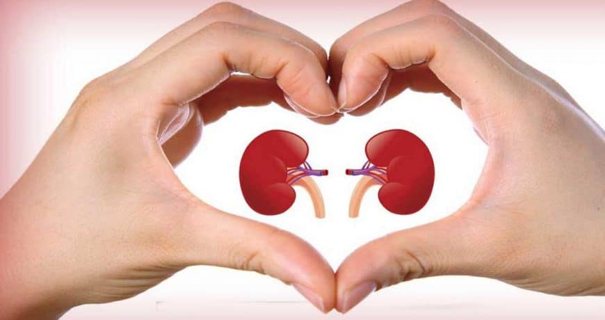 healthy-diet-for-kidney-and-management